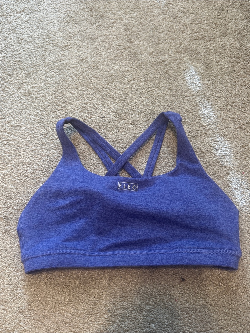 Fleo Blue-Purple Crossback Sports Bra